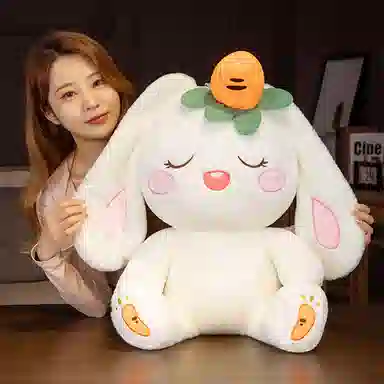 35cm55cm