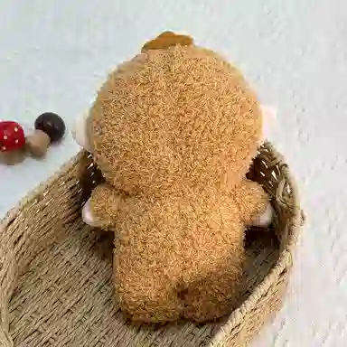 24cm