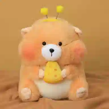 25cm