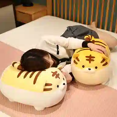 40cm50cm