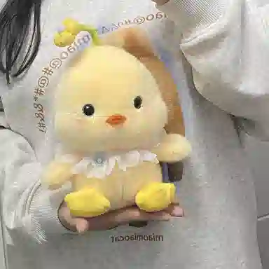 23cm