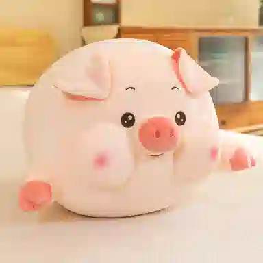 40cm50cm60cm80cm