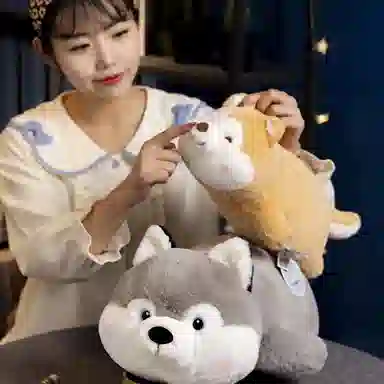 40cm50cm