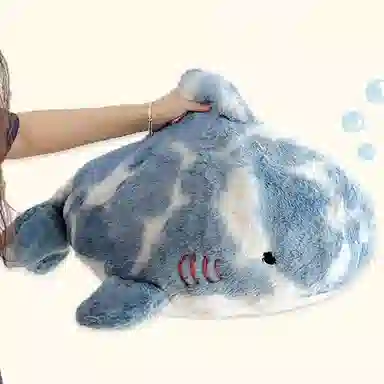 70cm100cm