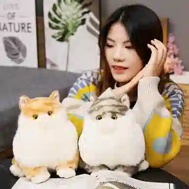 18cm22cm
