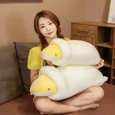 65cm80cm