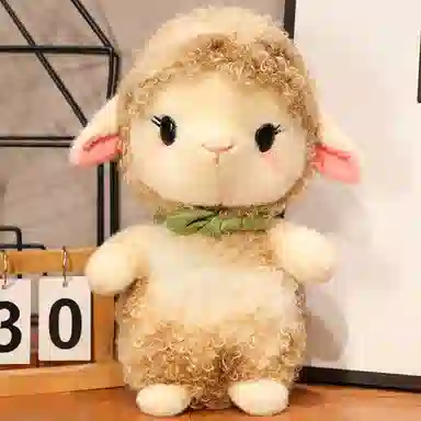 25cm35cm50cm