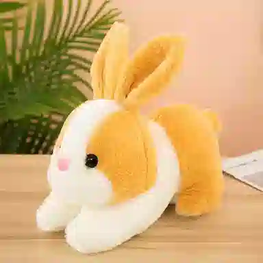 28cm35cm