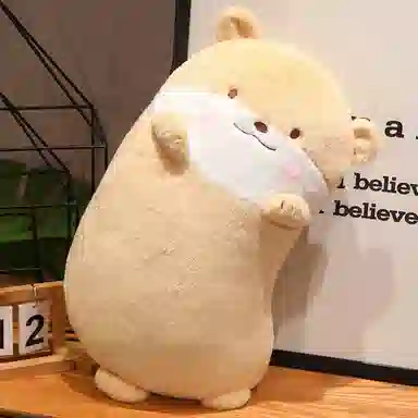 80cm