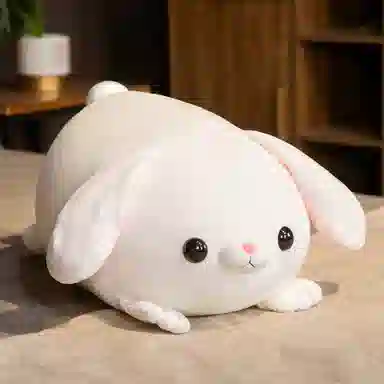 45cm 55cm