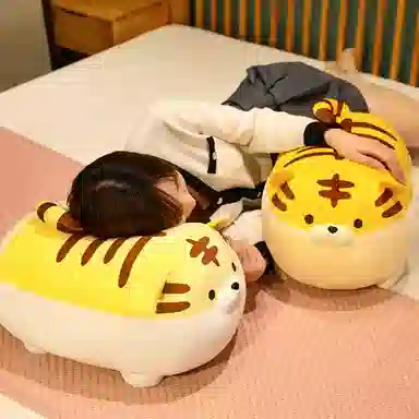 40cm50cm