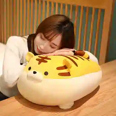 40cm50cm