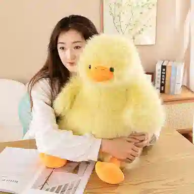 35cm60cm