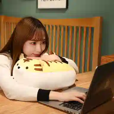 40cm50cm