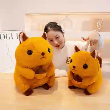 30cm38cm