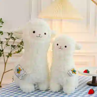 28cm35cm45cm