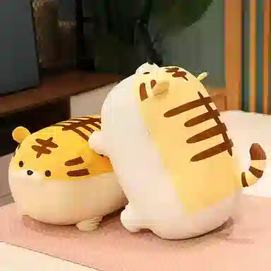 40cm50cm
