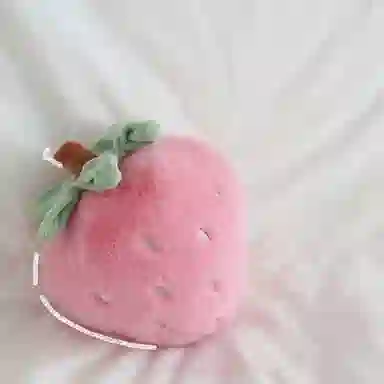 20cm