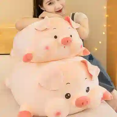 40cm50cm60cm80cm