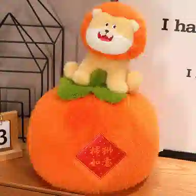 30cm38cm