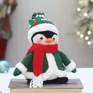 22cm30cm