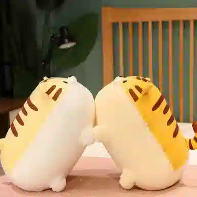 40cm50cm
