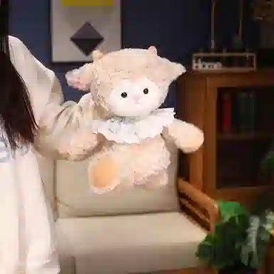 50cm