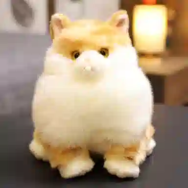 18cm22cm