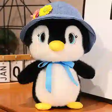 25cm35cm
