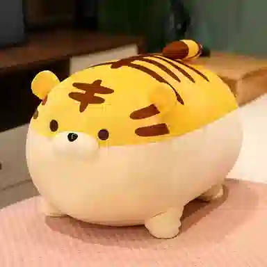 40cm50cm