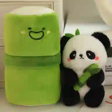 25cm30cm