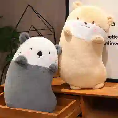 80cm