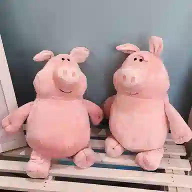 20cm30cm