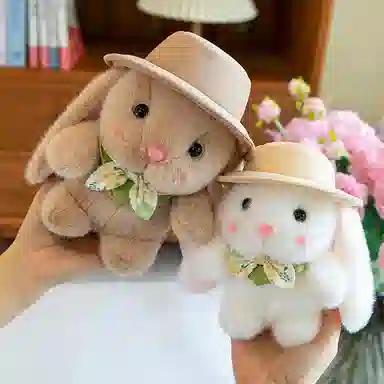 18cm23cm