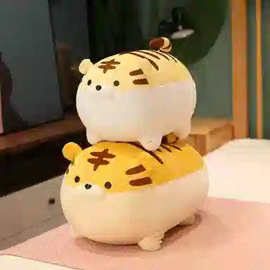 40cm50cm