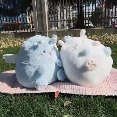 30cm40cm60cm