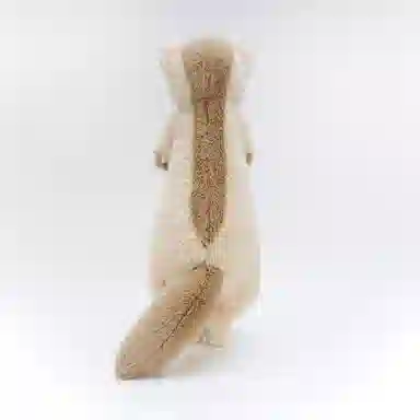52cm