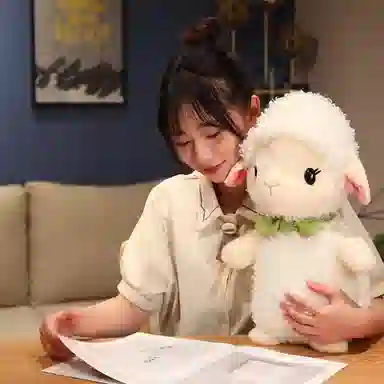 25cm35cm50cm