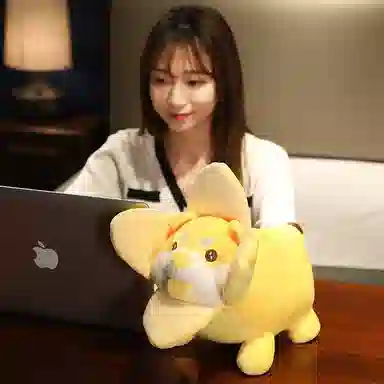 25cm35cm45cm