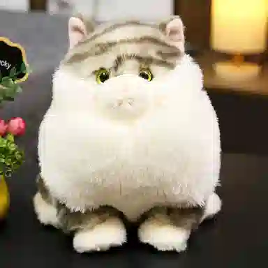 18cm22cm
