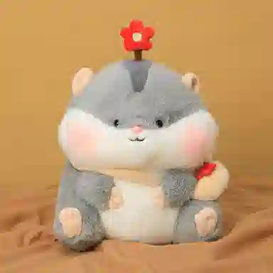 25cm