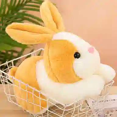 28cm35cm