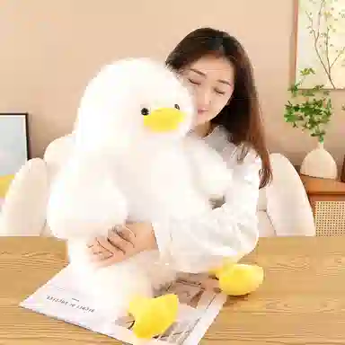 35cm60cm