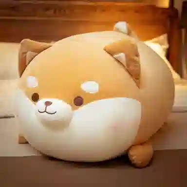 35cm50cm