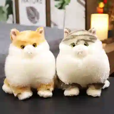 18cm22cm