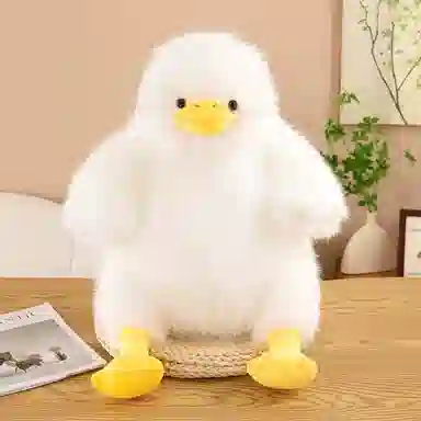 35cm60cm
