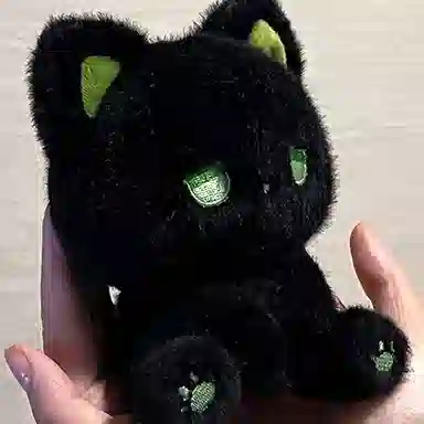 15cm