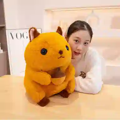 30cm38cm