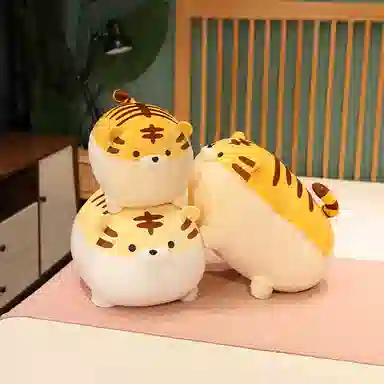 40cm50cm
