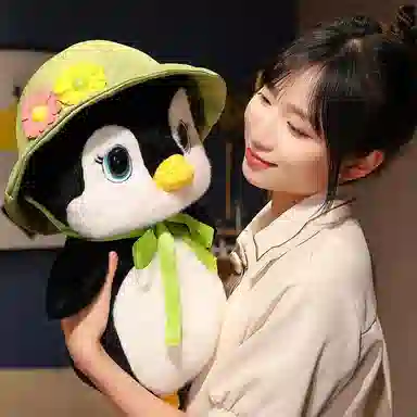 25cm35cm